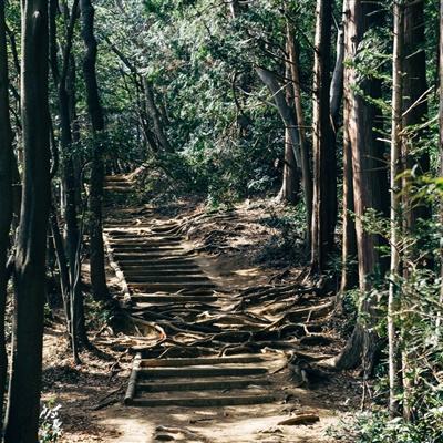 无拖链式电缆导向系统：igus研发...